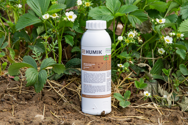 Jak stosować nawóz z kwasami humusowymi i aminokwasami Humik?