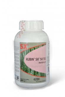 RUBIN SX 50SG 150G + 150ML TREND