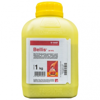 Bellis 38 WG 1KG