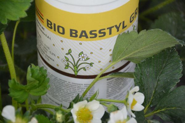 Jak stosować nawóz Bio Basstyl Grand?