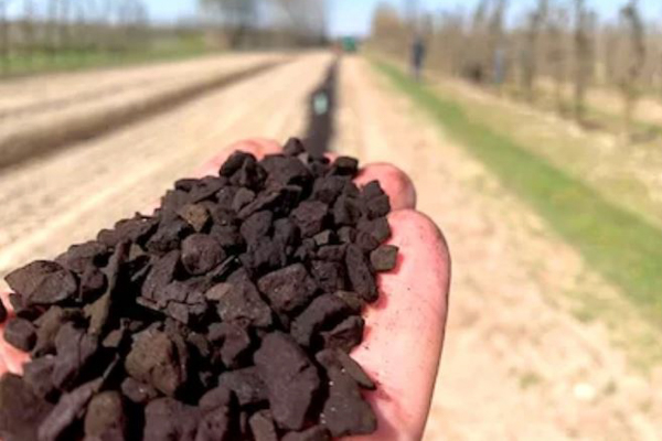 CARBOMAT ECO - właściwości węgla brunatnego i jego wpływ na żyzność gleby