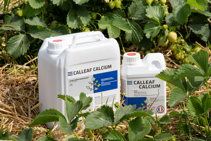 Calleaf Calcium - nawożenie dolistne truskawki wapniem