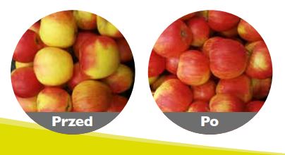 Jak stymulator wzrostu Kinactiv Fruit wpływa na jakość owoców?