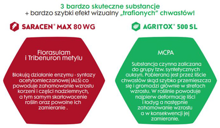 SARACEN POWER - działanie substancji czynnych: Florasulamu i Tribenuronu metyl oraz MCPAu