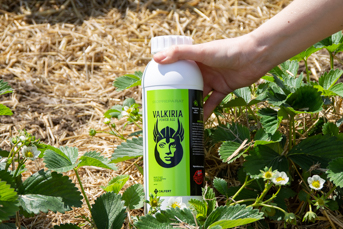 Valkiria Power Alg - biostymulator z algami dla lepszej odporności roślin w okresach stresowych