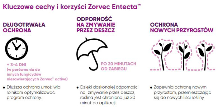 Zorvec Entecta - cechy i korzyści stosowania