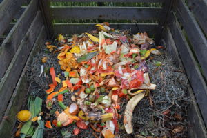 Korzyści ze stosowania kompostu