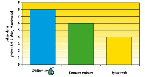Mieszanka traw Barenbrug Water Saver - skład