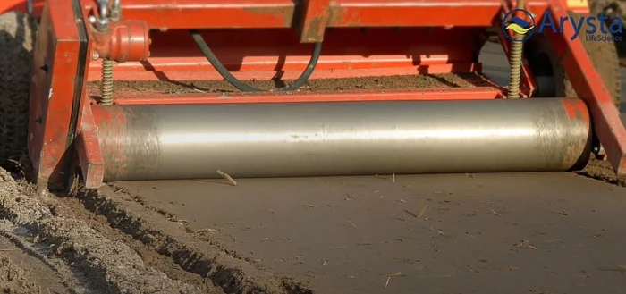 Basamid 97 GR - stosowanie