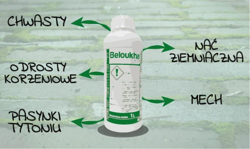 Beloukha 680 EC - zwalcza chwasty, odrosty korzeniowe, pasynki tytoniu, nać ziemniaczaną i mech