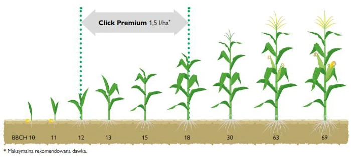 CLICK PREMIUM - zalecenia stosowania termin stosowania