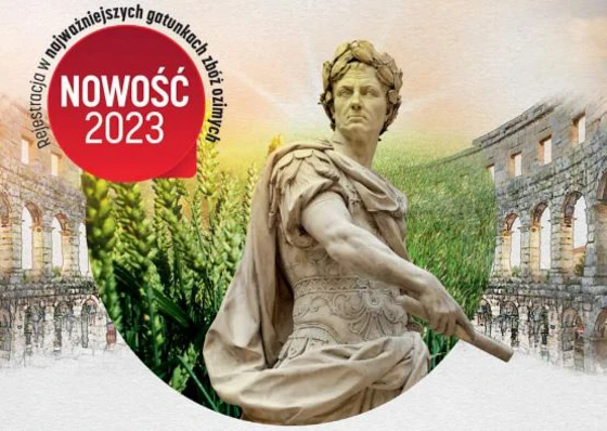 Kompleksowy herbicyd zbożowy Cezaro 574 SC - na miotłę zbożową