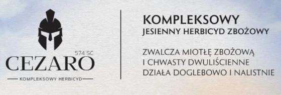 Jesienny herbicyd zbożowy - jak działa Cezaro 574 SC?