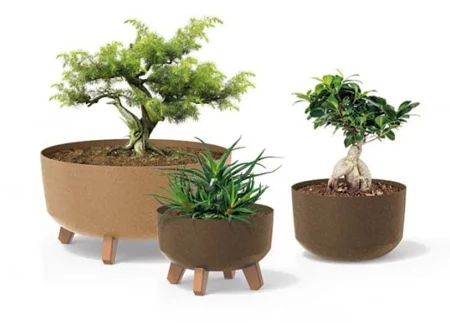 Gracia Low ECO Wood - elegancja i funkcjonalność