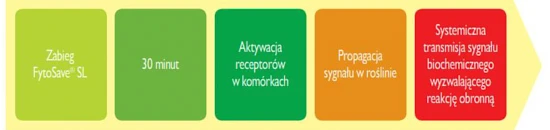 Fytosave SL - jak działa induktor odporności roślin?