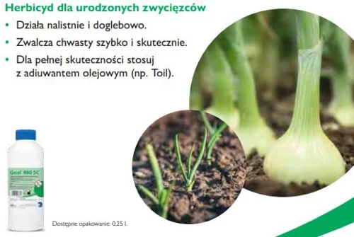 Goal 480 SC - herbicyd na chwasty w cebuli. Działa nalistnie i doglebowo