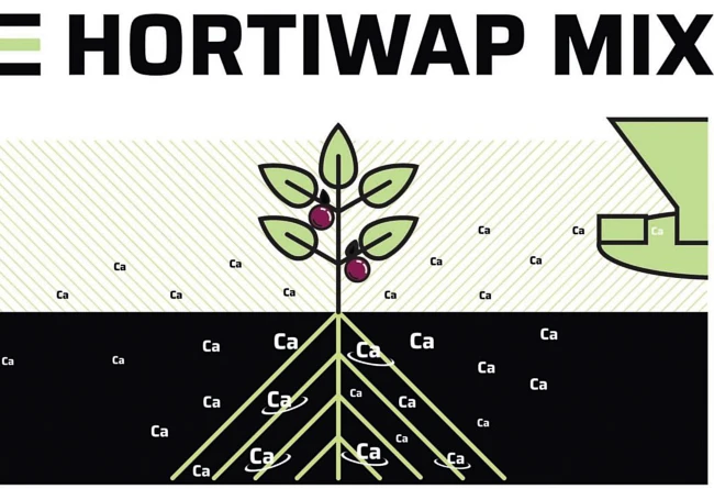 Wapno Granulowane Hortiwap Mix - zalety stosowania nawozu