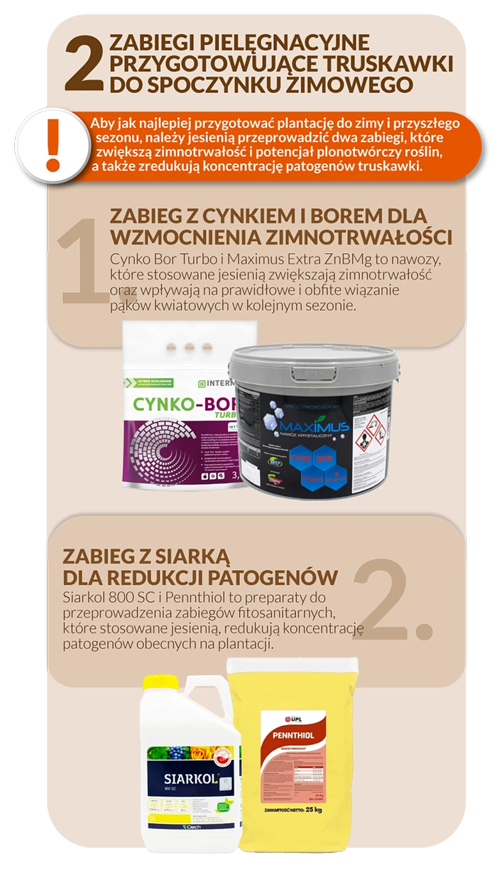 Dwa zabiegi na truskawki przed spoczynkiem zimowym - wzmocnienie odporności truskawki, redukcja patogenów.