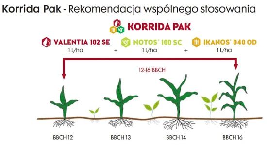 Korrida Pak - rekomendacja wspólnego stosowania zestawu herbicydów