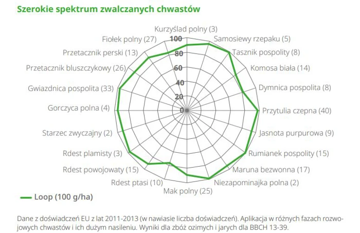 Loop - herbicyd selektywny o działaniu układowym zwalczający szerokie spektrum chwastów