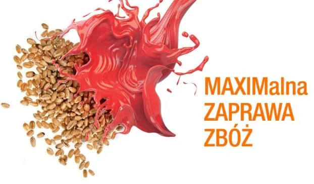Zbożowa zaprawa nasienna Maxim 025 FS – zalecenia stosowania
