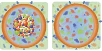 BarFertile Regeneration - regeneracyjny nawóz do trawników