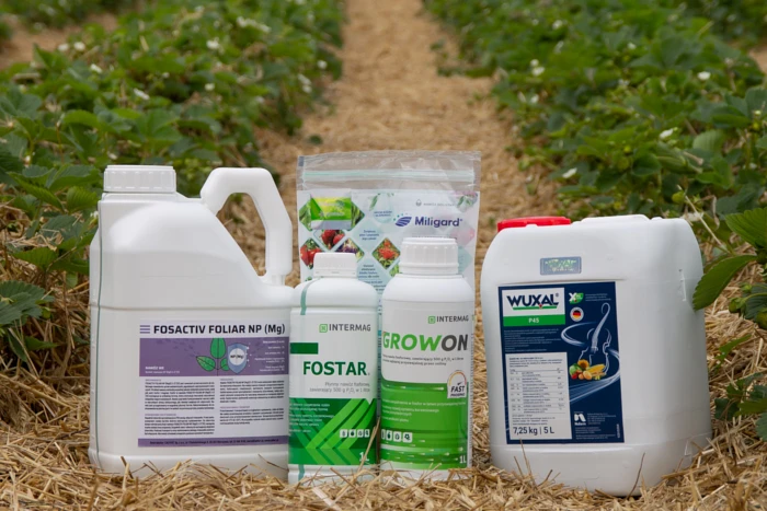 Co warto wiedzieć o nawozach fosforowych?