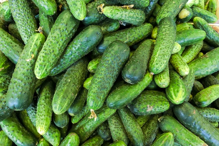 Najlepsze odmiany ogórków