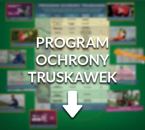 Program ochrony truskawek 