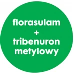 SARACEN MAX 80 WG - zawartość substancji czynnych: florasulam, tribenuron metylowy