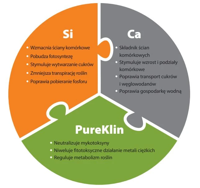 SMARTSIL NaturalCrop - Jak działa SMARTCOMPLEX? Połączenie krzemu, wapnia i PureKlin