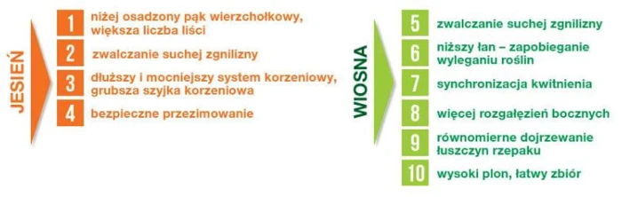 Toprex 375 SC - korzyści stosowania preparatu