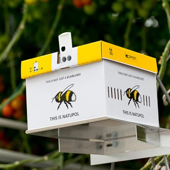 Trzmiele zapylające Natupol Standard firmy Koppert