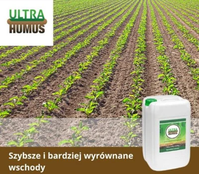 UltraHumus dla szybszych i bardziej wyrównanych wschodów roślin