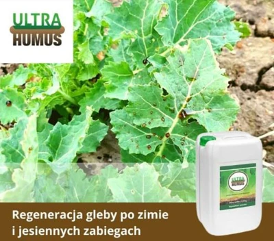 UltraHumus regeneruje glebę po zimie i jesiennych zabiegach