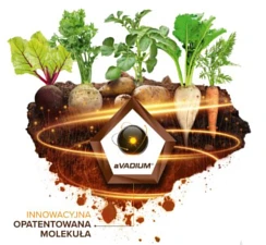 VANADOO INTERMAG - biostymulator roślin