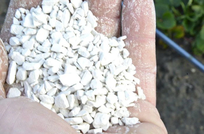 Wapnowanie gleby - nawozy wapniowe