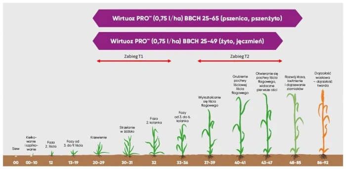 Zalecenia stosowania Wirtuoz Pro