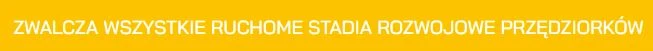XAPIRO 05 SC - akaracyd zwalczający wszystkie ruchome stadia rozwojowe przędziorków.