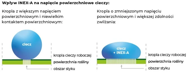 INEX-A - wpływ na napięcie powierzchniowe cieczy