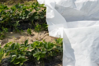 Agrowłókniny - zalety stosowania