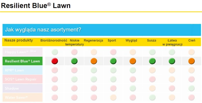 Barenbrug Resilient Blue Lawn - cechy i zalety
