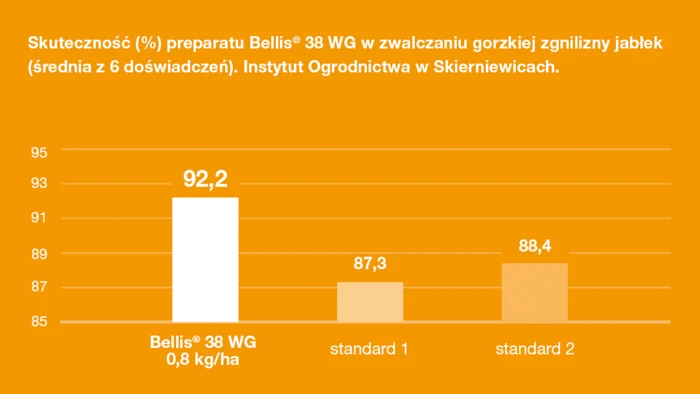 Bellis 38 WG BASF – cechy, dawkowanie, zalety
