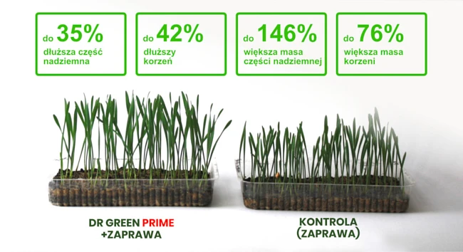 Jak działa nawóz Dr Green Prime?