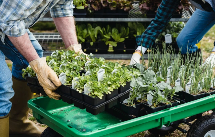 Rolnictwo ekologiczne w Polsce