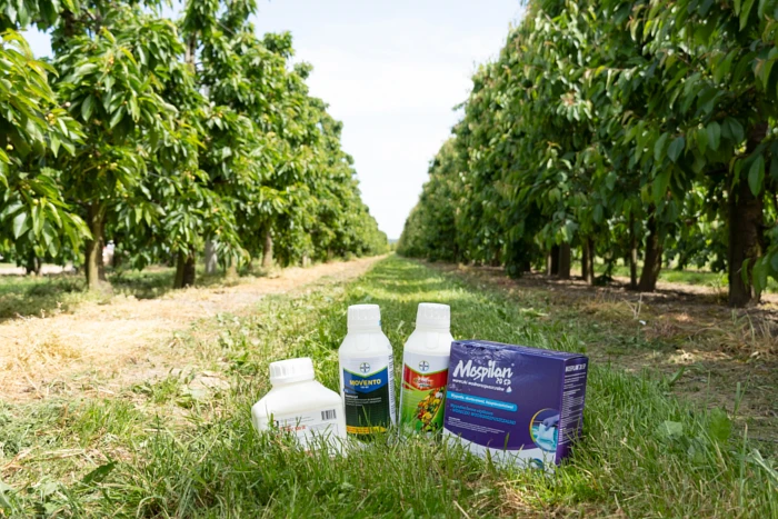 Czym są insektycydy?