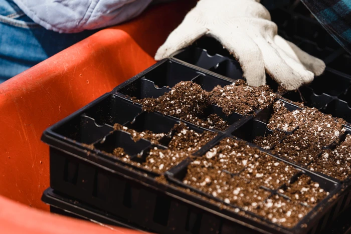 Kiedy i w jakiej ilości stosować nawozy azotowe?