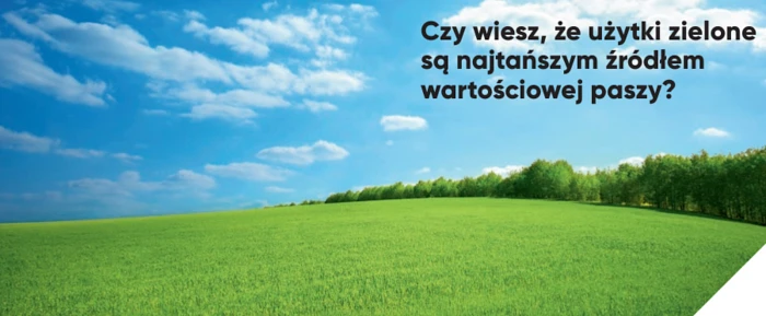 Dlaczego warto stosować Fernando Forte 300 EC?