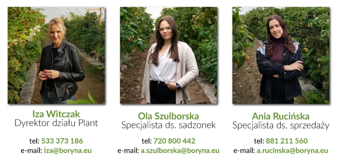 Boryna Plant - dystrybutor licencjonowanego materiału szkółkarskiego - kontakt.