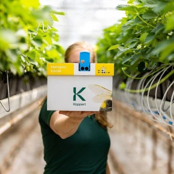 Trzmiele zapylające – czym są i jak działają?